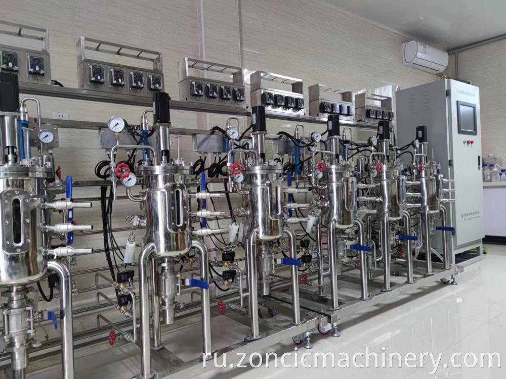 Lab Stainless Steel Bioreactor